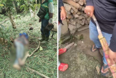 Korban Pembacokan di Jagaraga Sukau Dimakamkan Besok, Pelaku Diduga Tetangga Kebun