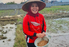 Terinspirasi Megawati, Sri Ningsih tegaskan politik perempuan bukan sekadar kuota representasi