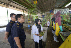 Kanwil Bea Cukai Sumatera Bagian Barat Torehkan Kinerja Cemerlang Sepanjang 2025