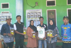 24.337 Warga Pesbar Terima Bantuan Pangan, Disalurkan Sekaligus Dua Bulan