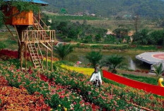 Bogor Tenjolaya Park, Destinasi Wisata Sejuk di Lereng Gunung Salak