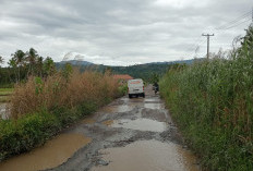 Disuntik Puluhan Miliar, Jalan Sukabumi–Suoh Jadi Prioritas, Warga Minta Perbaikan Maksimal