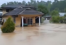 42 Rumah Terendam di Pekon Bumi Hantatai akibat Luapan Kali Way Bulok