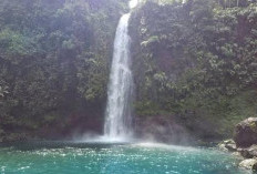 Curug Gede Banyumas, Air Terjun Sejuk di Lereng Gunung Slamet