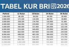 KUR BRI 2026 Bunga 6 Persen, Simak Simulasi Cicilan Pinjaman Rp1–30 Juta