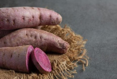 Manfaat Ubi Ungu untuk Kecantikan dan Kesehatan Wanita