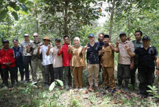 Investasi Hijau Menguat, Lampung Jadi Lokasi Strategis Perdagangan Karbon