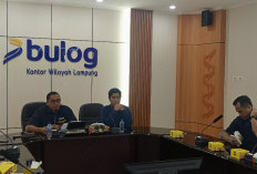 Bulog Lampung Lampaui Target Serapan Gabah 2025, Tembus 202 Ribu Ton