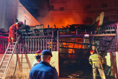 Kebakaran Rumah di Tanjung Karang Pusat, Kerugian Capai Rp 200 Juta