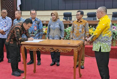 Dapat Apresiasi Gubernur, Lampung Selatan Tuntaskan 100 Persen Pengawasan