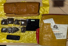 Jaringan Narkoba Medan-Bali Dibongkar, Polda Lampung Sita 6 Kg Ganja di Bakauheni