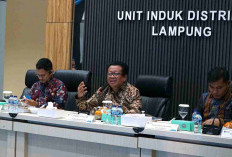 PLN UID Lampung Perkuat Layanan Pelanggan dengan Pelatihan CX100 bagi Petugas Alih Daya 