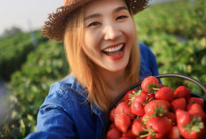 Manfaat Strawberry untuk Wajah dan Kulit, Rahasia Alami Kulit Cerah dan Awet Muda