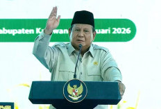 Presiden Prabowo Umumkan Swasembada Pangan, Produksi Padi Lampung Naik 15 Persen