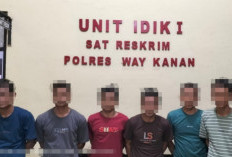 Polisi Tangkap 6 Pembalak Liar di Register 42 Way Kanan, Puluhan Kayu Disita
