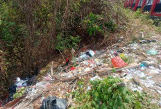 Sampah Menumpuk di Luar Pagar DPRD Bandar Lampung, Lingkungan Tampak Tak Terawat