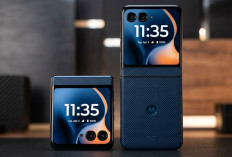 Akhirnya Masuk Resmi! Motorola Razr 60 Tantang Samsung Flip dengan Vibes Premium