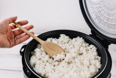 Ciri-Ciri Nasi Basi yang Perlu Diketahui agar Terhindar dari Keracunan Makanan