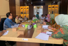 Bukan Sekadar PAD, DPRD Kota Bandar Lampung Sentil Reklame Tak Terawat 