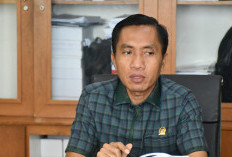 SDN 1 Gedung Meneng Hanya Dapat 2 Murid, DPRD Minta Disdik Cari Penyebabnya