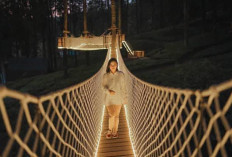 Golden Bridge Limpakuwus, Daya Tarik Wisata Malam Bernuansa Hangat di Banyumas