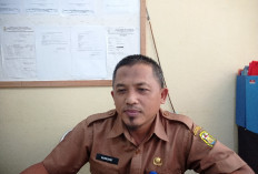 TKA Jadi Syarat Jalur Prestasi, Bukan Penentu Kelulusan Siswa