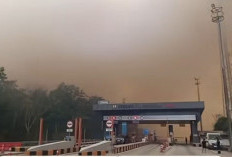 Api Membakar Lahan di Tol Terpeka, Polisi dan Petugas Tol Bergerak Cepat