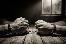 Dua Pelaku Pencurian Aset BPBD Lampung Utara Ditangkap, Satu Masih Buron