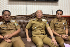 Jembatan Gantung Jadi Solusi Cepat Way Bungur, Pembangunan Permanen Dilaksanakan Pemerintah Pusat