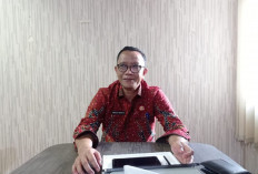 PAD Bandar Lampung Naik, Bapenda Optimalkan Penagihan PBB hingga Akhir 2026