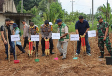 Polres Lampung Utara Tanam Jagung 1 Hektare, Dukung Program Swasembada Pangan 2026
