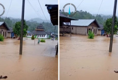 Sungai Way Bulok Meluap, Puluhan Rumah di Pekon Bumi Hantatai Terendam Banjir