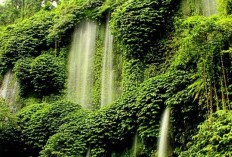 Air Terjun Benang Kelambu, Pesona Tirai Alam dan Legenda Dewi Anjani di Lombok