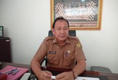 Daging Ayam Ras Sempat Rp 43 Ribu per Kg, Begini Kondisi Harga di Bandar Lampung