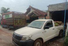 Diduga Terjadi Penyelewengan LPG 3 Kg, Warung di Candimas Lampung Utara Disorot