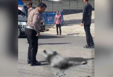 Pengendara Motor Terjatuh Bersimbah Darah, Polisi Selidiki Penyebab Laka di Pasar Liwa