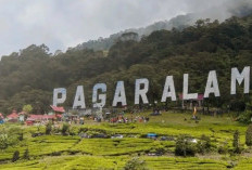 Pagar Alam, Jejak Megalitikum yang Hidup di Tanah Besemah