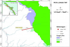 Dugaan Pembalakan Liar di Pesisir Barat, Tri Agustian: Itu Lahan Pribadi
