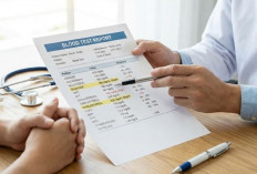 Begini Cara Membaca Hasil Lab Darah Secara Tepat dan Mendalam