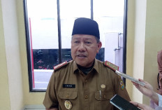Tekan Polusi Udara dan Kemacetan, Bandar Lampung Siapkan Pengaktifan Transportasi Umum