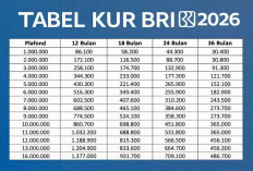 KUR BRI 2026 Plafon Rp500 Juta, Ini Skema dan Simulasi Angsurannya