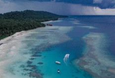 Pulau Maratua, Permata Terluar Indonesia dengan Pesona Bahari Mendunia