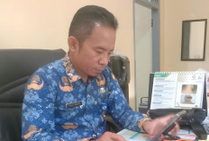 Kasus DBD di Lampung Utara Menurun Dibandingkan 2024