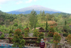 Pesona Desa Wisata Cibuntu di Kaki Gunung Ciremai, Surga Alam dan Budaya di Kuningan