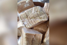 Roti MBG Berjamur di SDN 1 Way Mengaku, SPPG Pasar Liwa Tarik Produk dan Lakukan Evaluasi