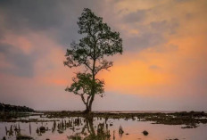 8 Destinasi Wisata Menarik Sepanjang Perjalanan ke Jawa Timur