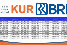 Bunga Rendah, KUR BRI Rp500 Juta Dorong UMKM ke Skala Menengah