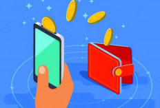 Daftar Pinjaman Online Bunga Rendah Resmi OJK (Terbaru) dan Tips Aman Mengajukan Pinjol