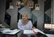 Bandar Lampung Masih Jadi Primadona Investor, Investasi Tembus Rp 744,6 Miliar