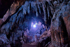 Goa Seplawan, Wisata Alam dan Sejarah di Puncak Perbukitan Purworejo